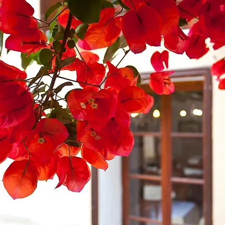 Dalt Murada - Turismo De Interior Hotel Palma de Mallorca